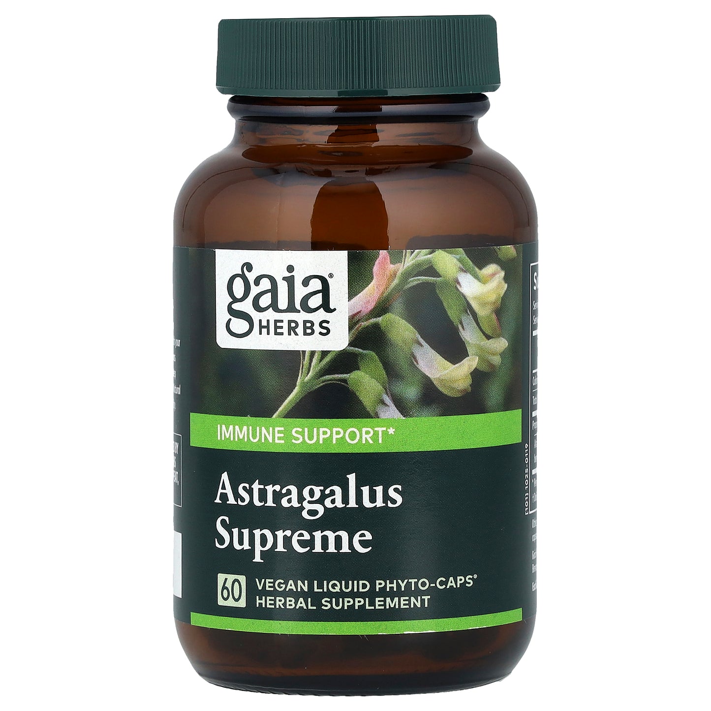 Gaia Herbs, Astragalus Supreme, 60 Vegan Liquid Phyto-Caps