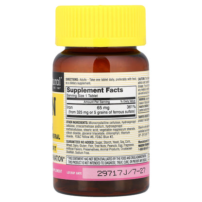 Mason Natural, Iron, 65 mg, 100 Tablets