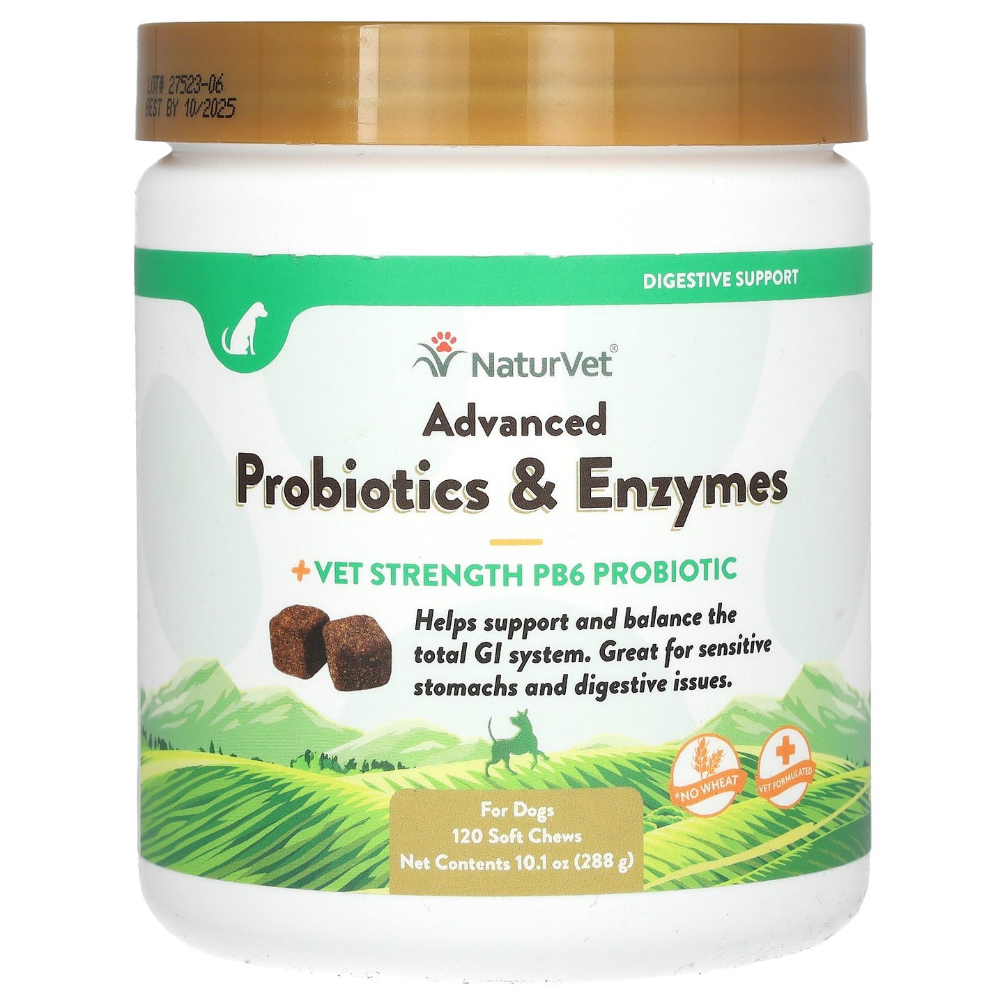 NaturVet, Advanced Probiotics & Enzymes, + Vet Strength PB6 Probiotic, For Dogs, 120 Soft Chews, 10.1 oz (288 g)