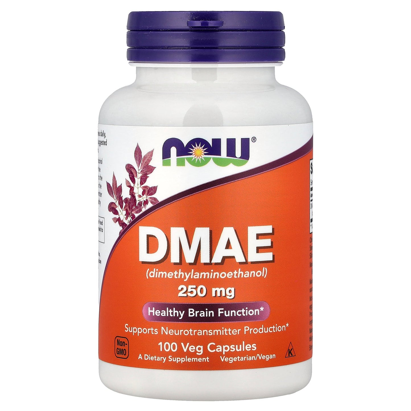 NOW Foods, DMAE, 250 mg, 100 Veg Capsules