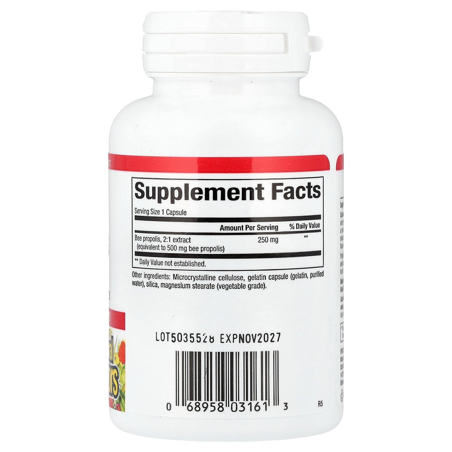 Natural Factors, Bee Propolis, 500 mg, 90 Capsules