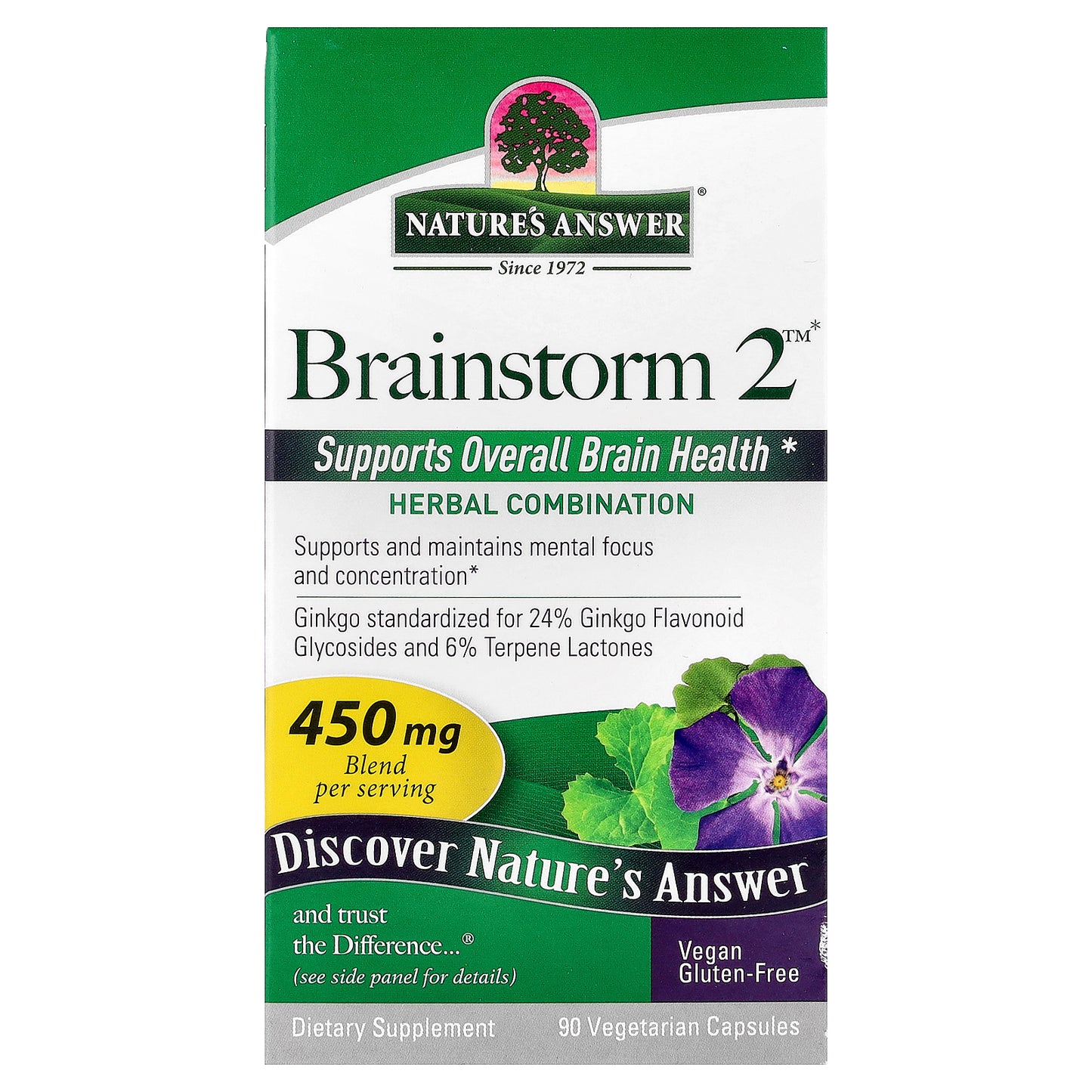 Nature's Answer, Brainstorm 2™, Herbal Combination, 90 Vegetarian Capsules