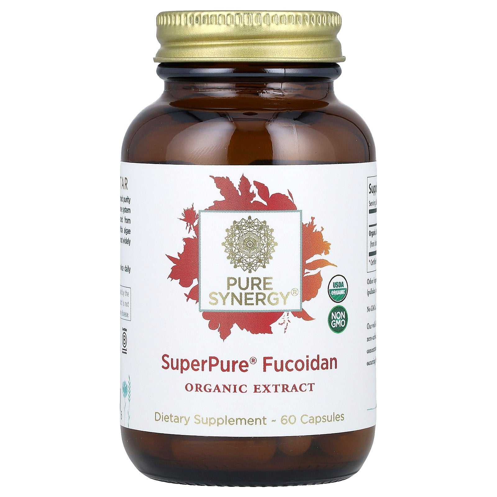 Pure Synergy, SuperPure® Fucoidan, 60 Capsules (100 mg Capsule)