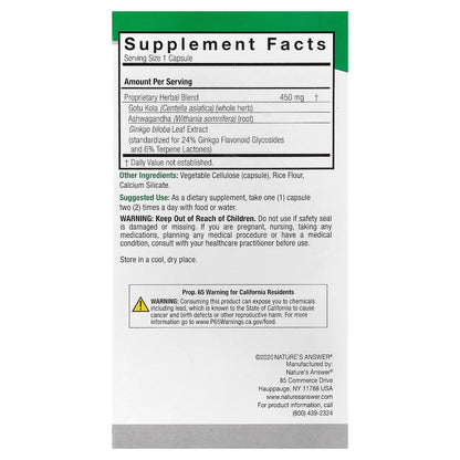 Nature's Answer, Brainstorm 2™, Herbal Combination, 90 Vegetarian Capsules