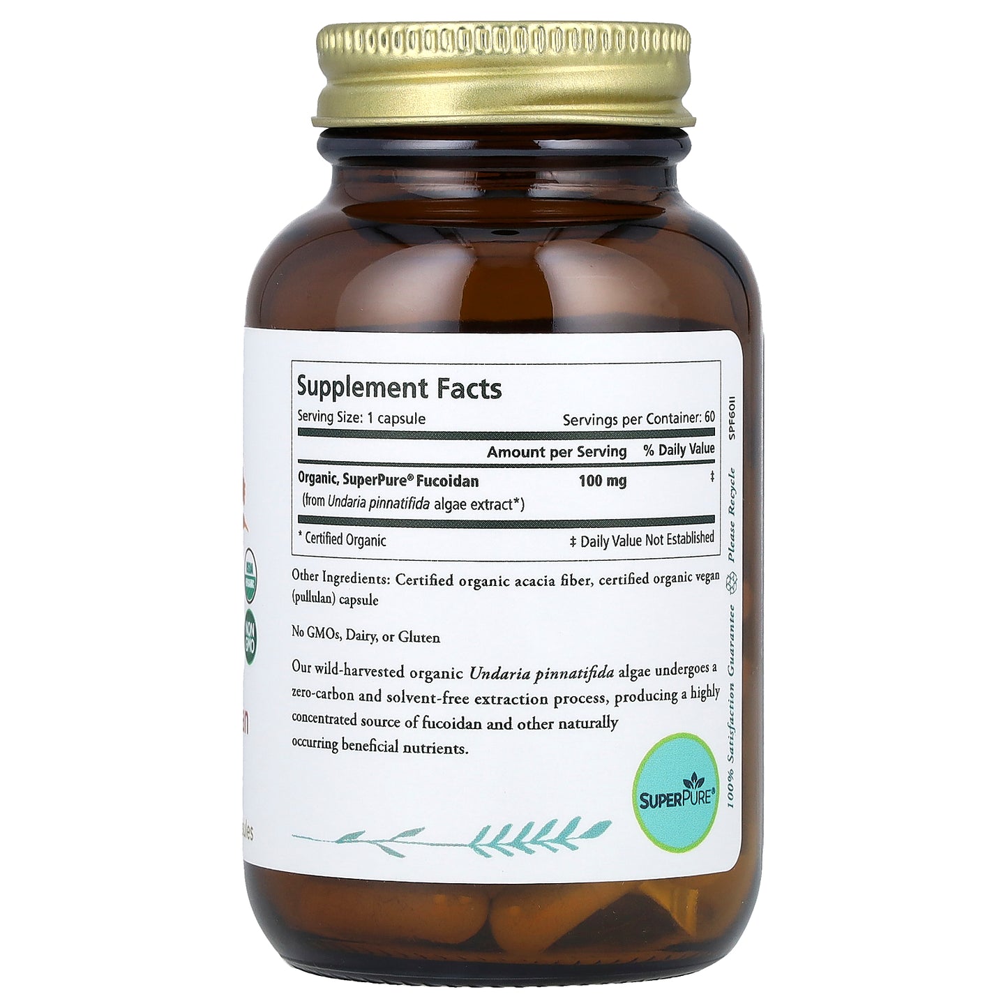 Pure Synergy, SuperPure® Fucoidan, 60 Capsules (100 mg Capsule)