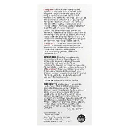 Hobe Labs, Energizer™, Treatment Shampoo, For Thicker, Fuller, Healthier Hair, 4 fl oz (118 ml)