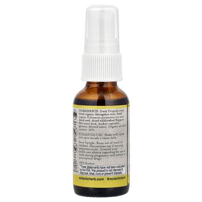 Eclectic Herb, Kid's Throat Spray, Propolis Astragalus, 1 fl oz (30 ml)