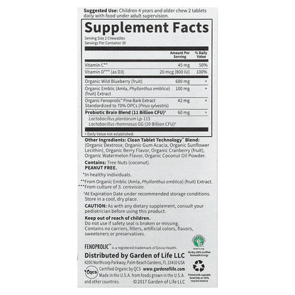 Garden of Life, Dr. Formulated Brain Health, Attention & Focus for Kids, Organic Watermelon Berry, 60 Yummy Chewables