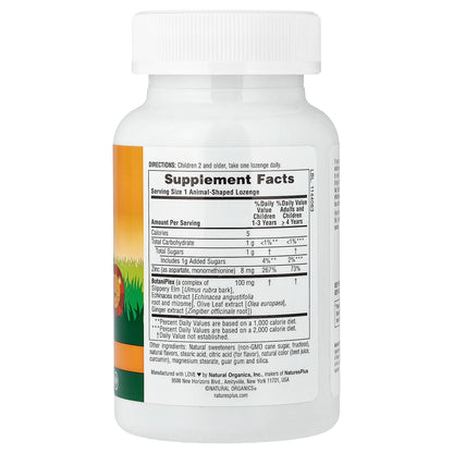 NaturesPlus, Animal Parade®, Kid Zinc®, Tangerine, 90 Animal-Shaped Lozenges