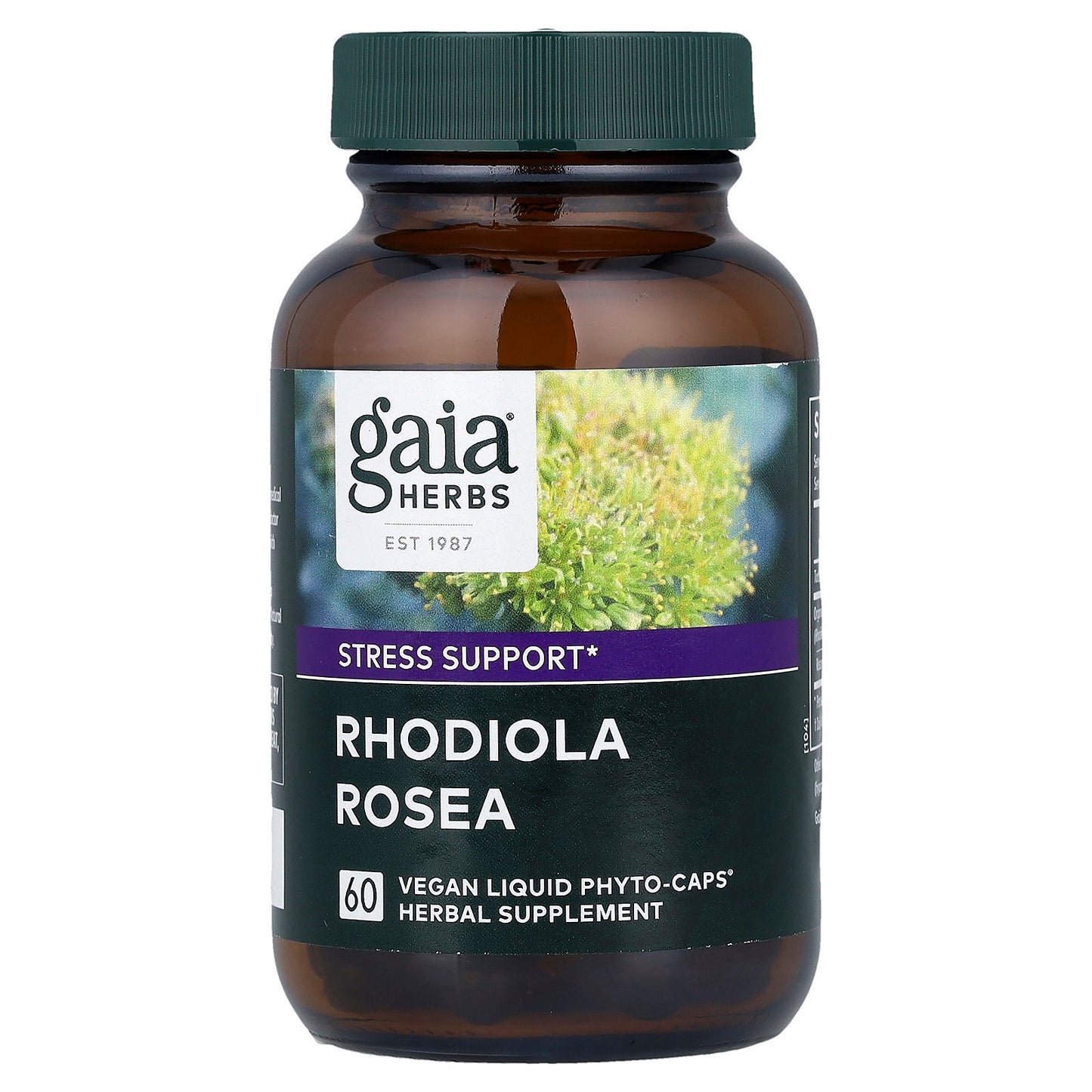 Gaia Herbs, Rhodiola Rosea, 60 Liquid Phyto-Caps®