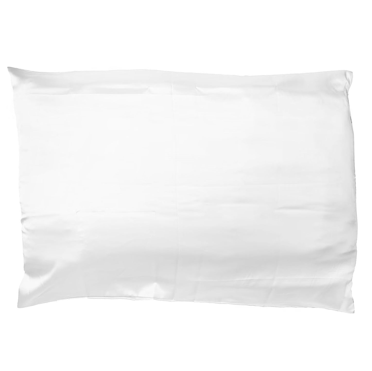 Clean Skin Club, Clean Sleep, Silver Ion Pillowcase, Glacier White, 1 Count