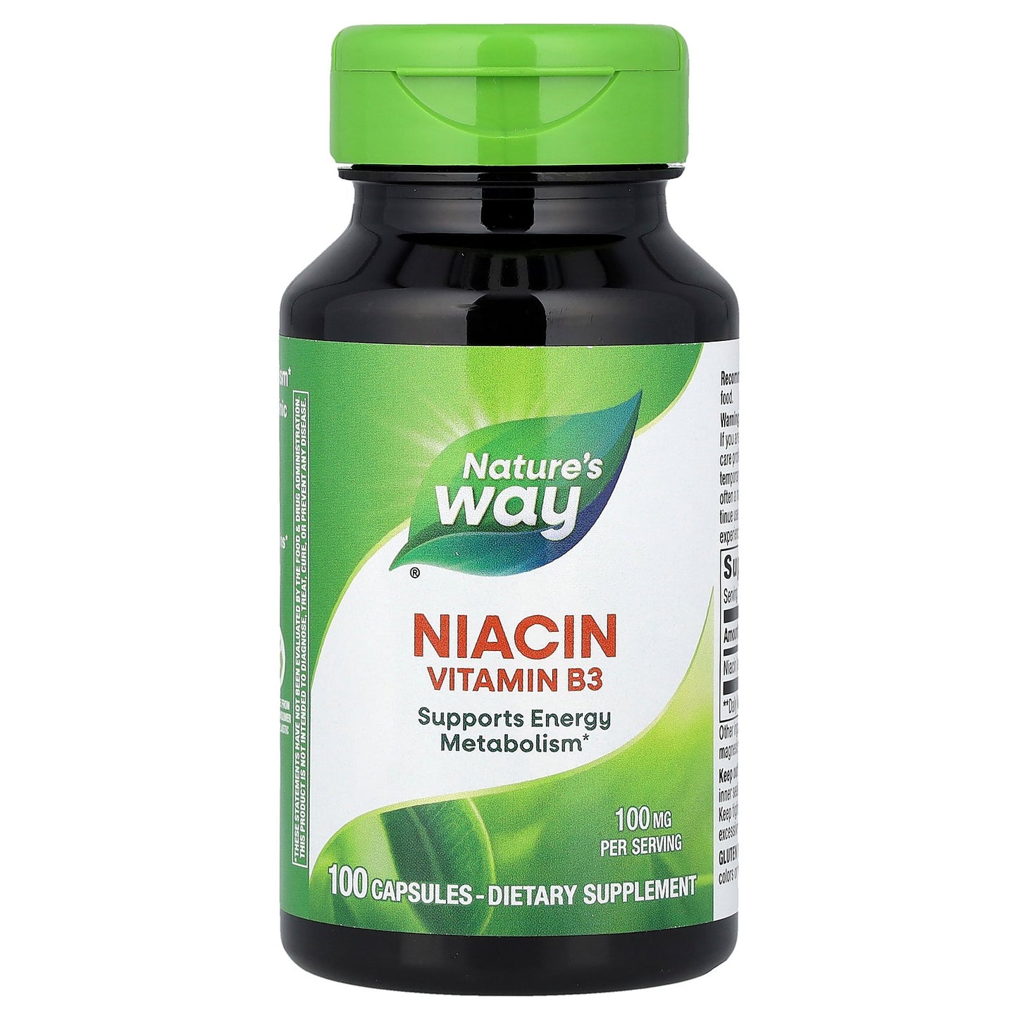Nature's Way, Niacin Vitamin B3, 100 mg, 100 Capsules