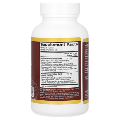 California Gold Nutrition, Fungiology, MushRex Plus, Full-Spectrum Ten Mushroom Complex with Agaricus, Chaga, Cordyceps, and Lion's Mane, 120 Plantcaps