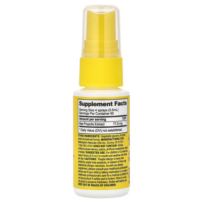 Beekeeper's Naturals, Kids, Propolis Immune Support, Daily Throat Spray, 1 fl oz (30 ml)