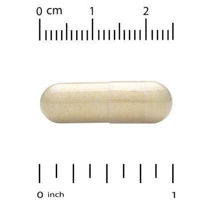 NOW Foods, Glutathione With Milk Thistle Extract & Alpha Lipoic Acid, 60 Veg Capsules