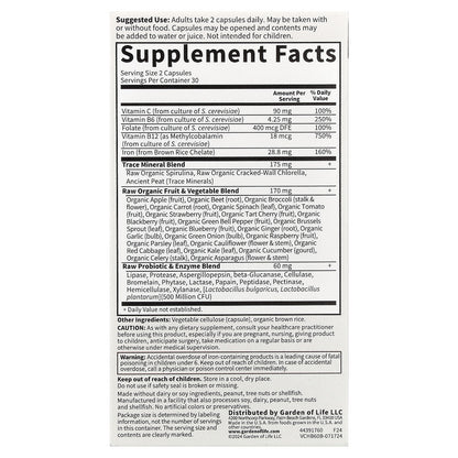 Garden of Life, Vitamin Code®, Healthy Blood™, 60 Vegan Capsules