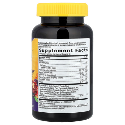 Nature's Way, Alive!® Immune Gummy with Elderberry Extract, Grape & Cherry, 90 Gummies