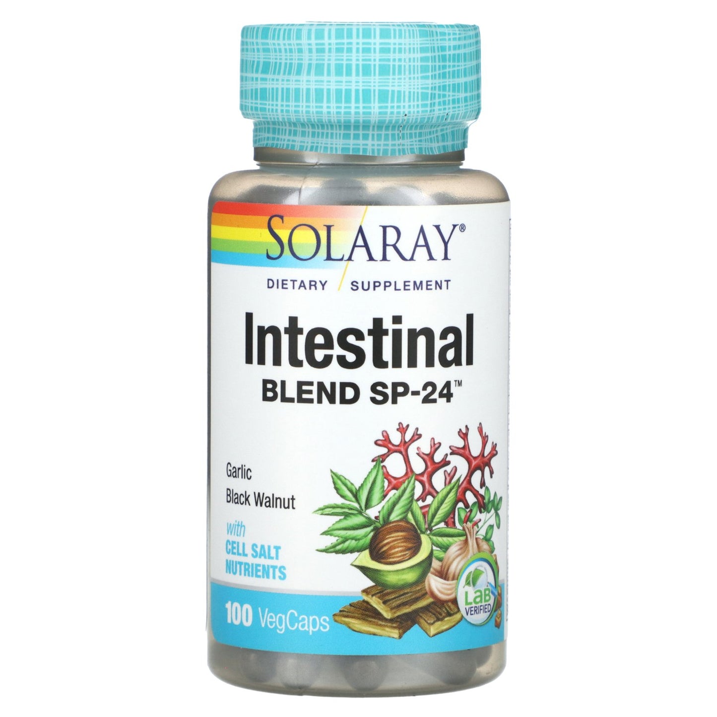 Solaray, Intestinal Blend SP-24, 100 VegCaps