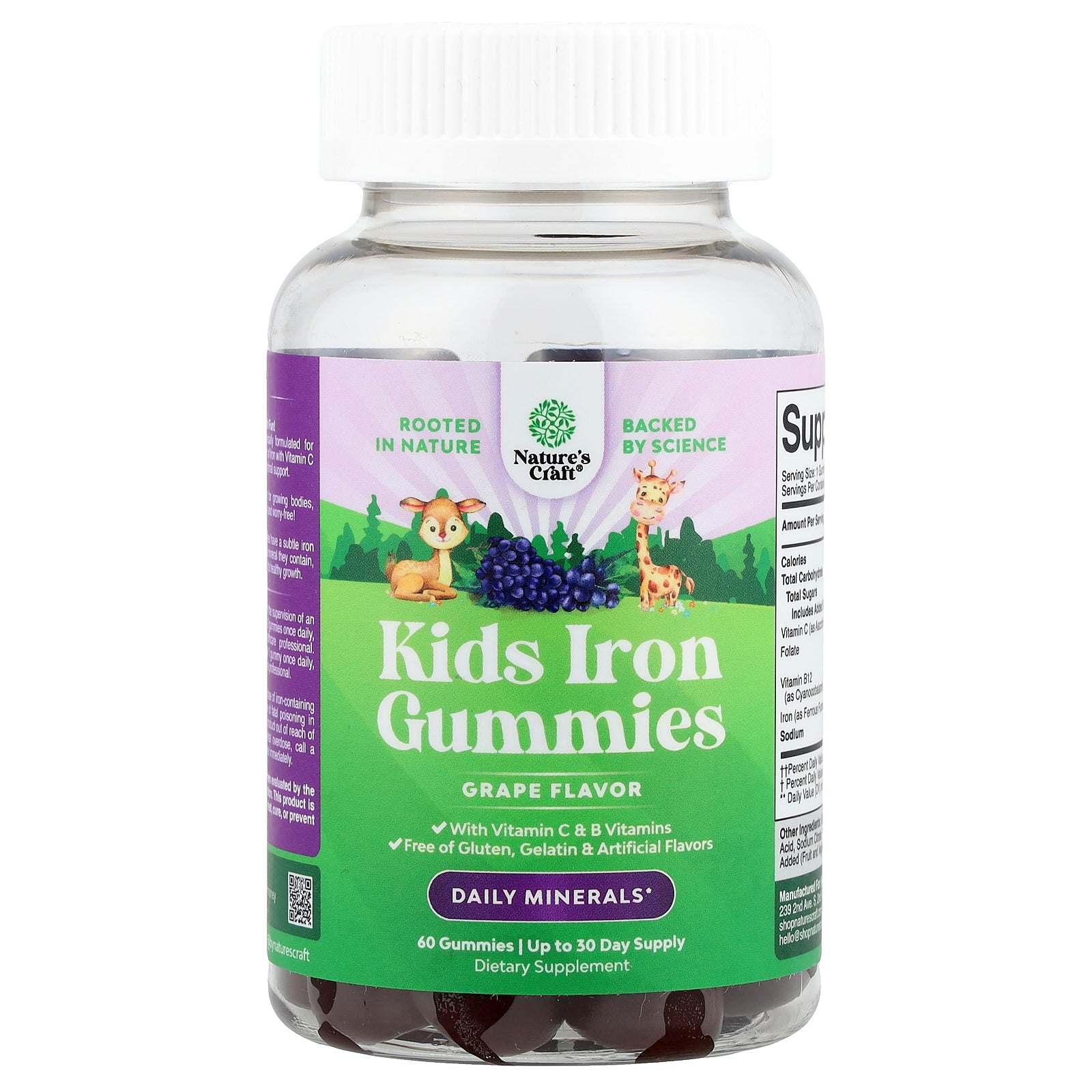 Nature's Craft, Kids Iron Gummies, Grape , 60 Gummies