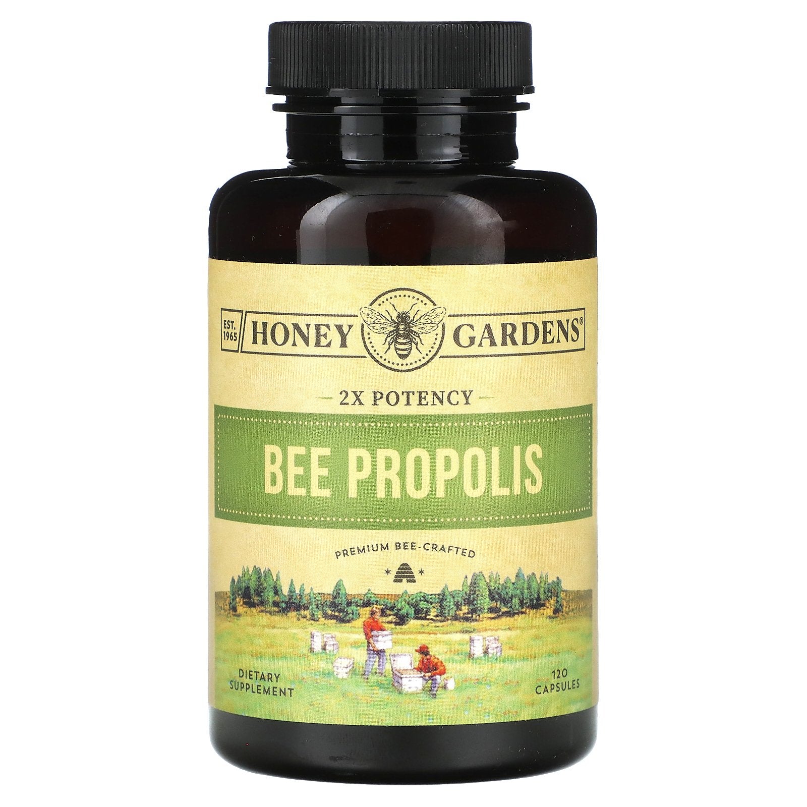 Zand, Bee Propolis, 2X Potency, 800 mg, 120 Capsules (400 mg per Capsule)