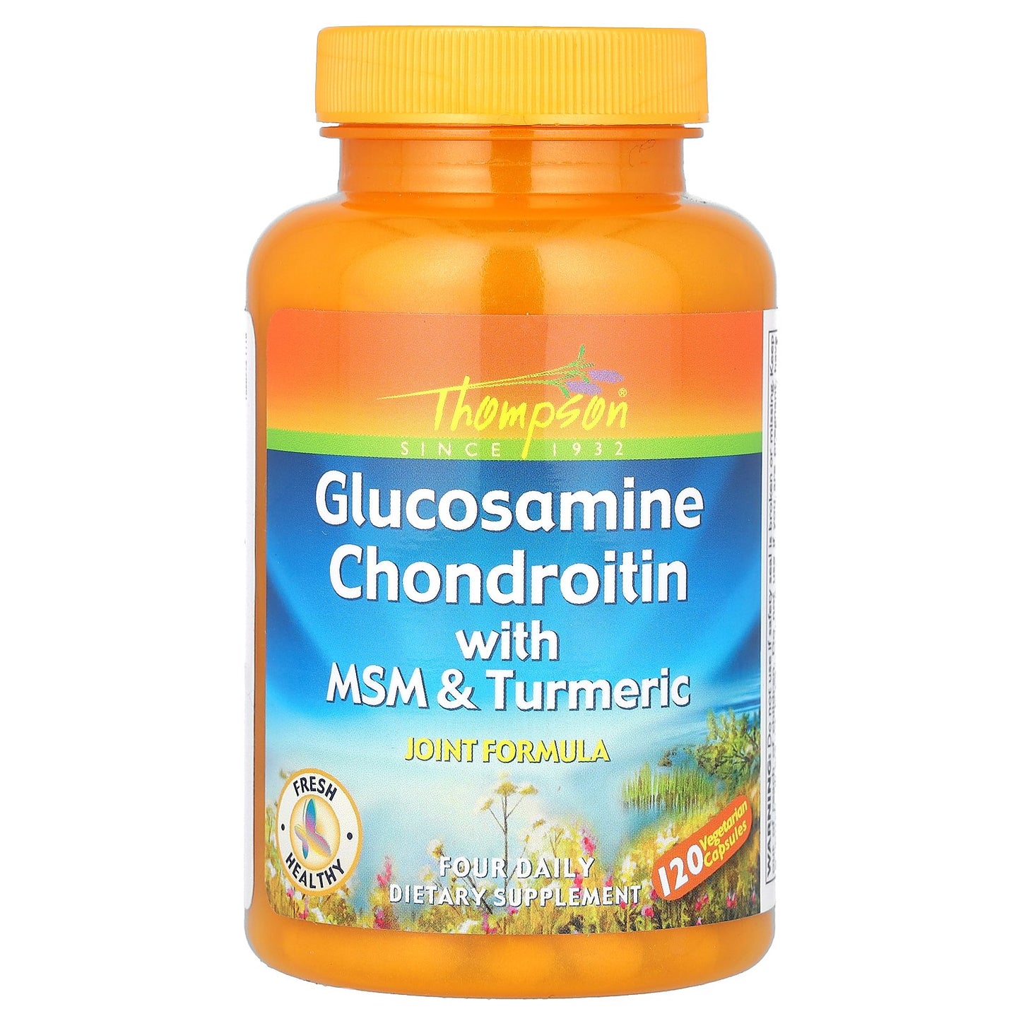 Thompson, Glucosamine Chondroitin with MSM & Turmeric, 120 Vegetarian Capsules