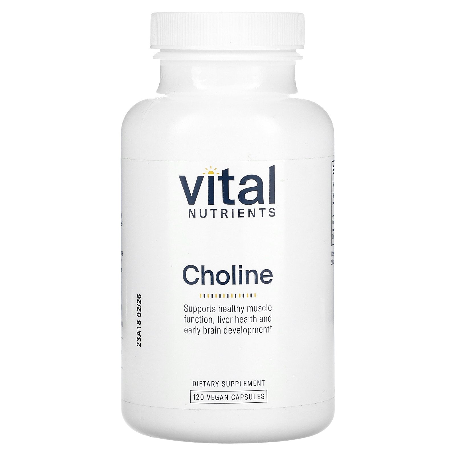 Vital Nutrients, Choline, 120 Vegan Capsules (275 mg per Capsule)