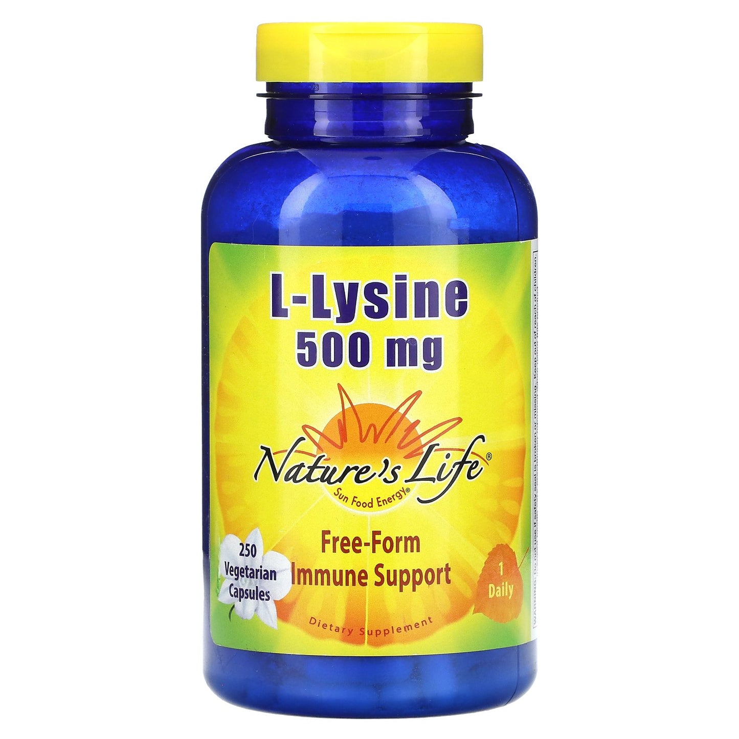 Nature's Life, L-Lysine, 500 mg, 250 Vegetarian Capsules