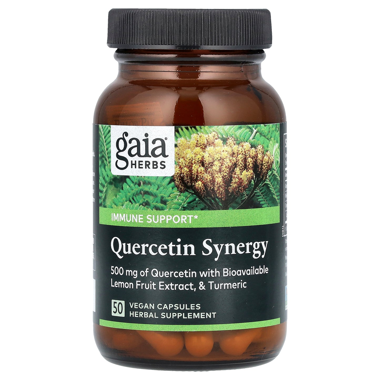 Gaia Herbs, Quercetin Synergy, 50 Vegan Capsules