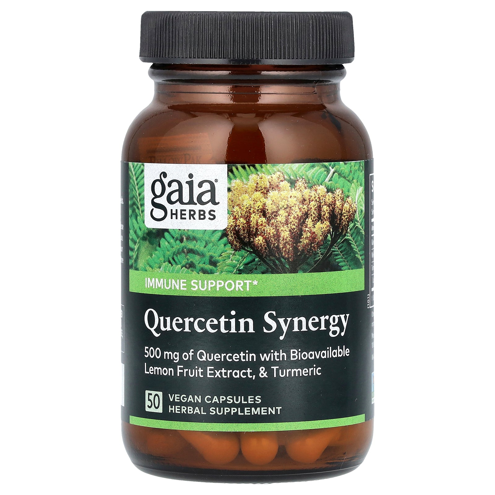 Gaia Herbs, Quercetin Synergy, 50 Vegan Capsules