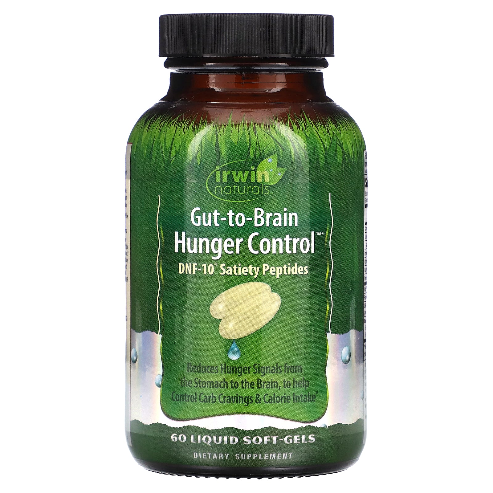 Irwin Naturals, Gut-To-Brain Hunger Control, 60 Liquid Soft-Gels