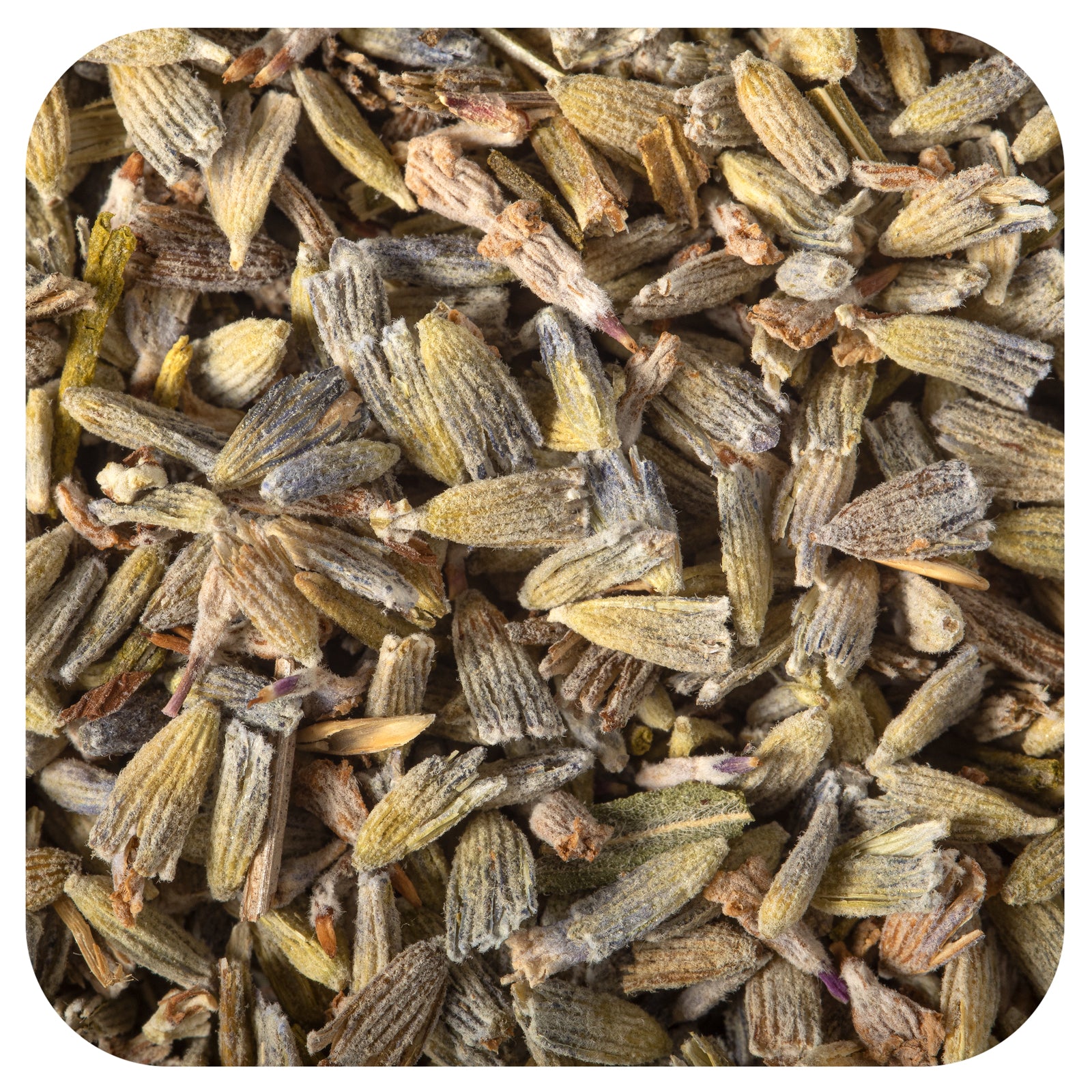 Starwest Botanicals, Organic Lavender Flowers Extra, 1 lb (453.6 g)