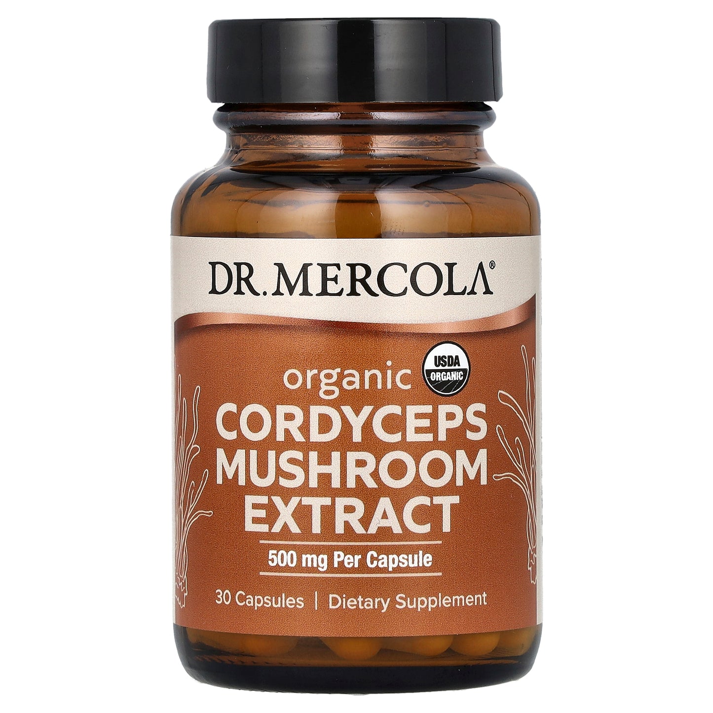 Dr. Mercola, Organic Cordyceps Mushroom Extract, 30 Capsules