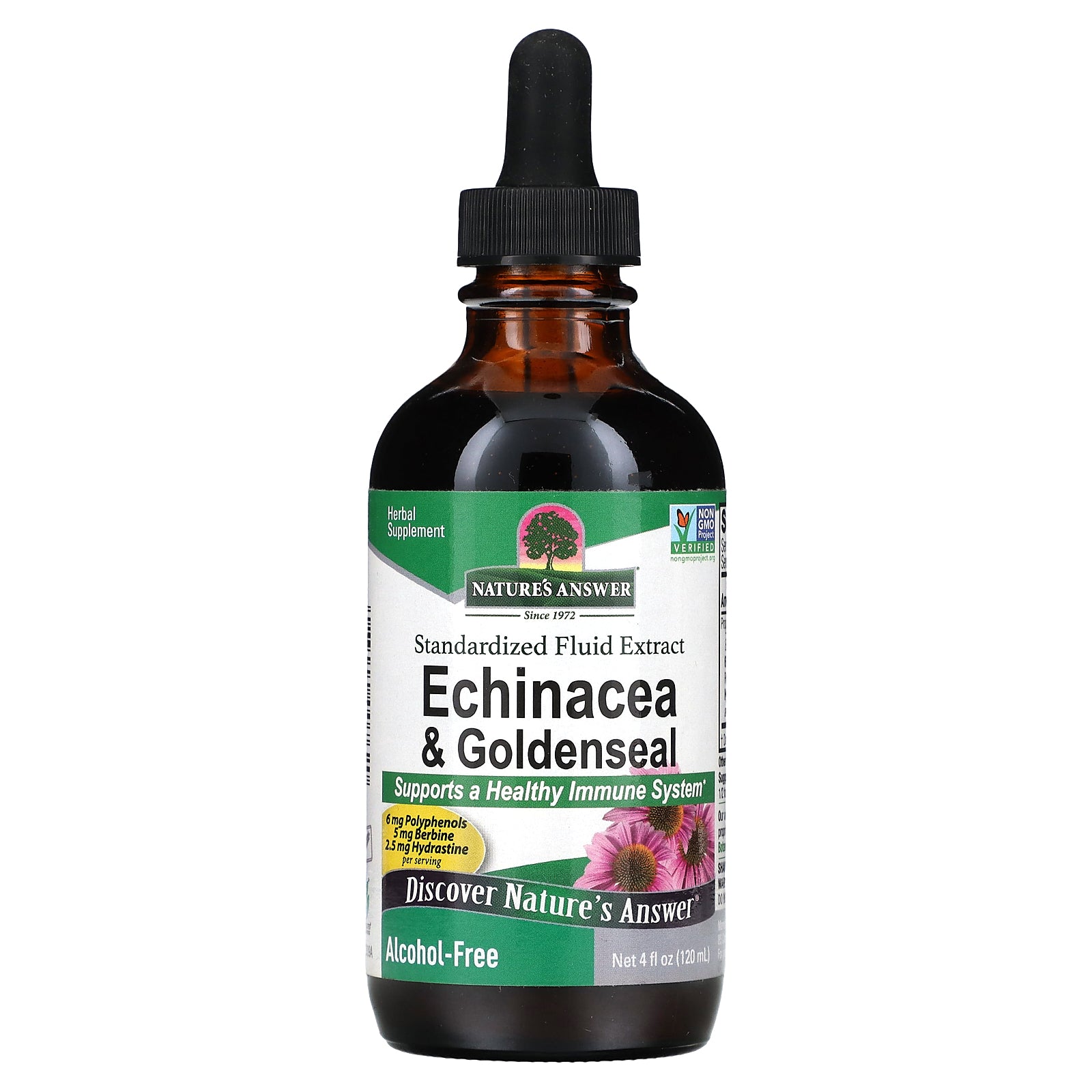 Nature's Answer, Echinacea & Goldenseal, Alcohol-Free, 4 fl oz (120 ml)