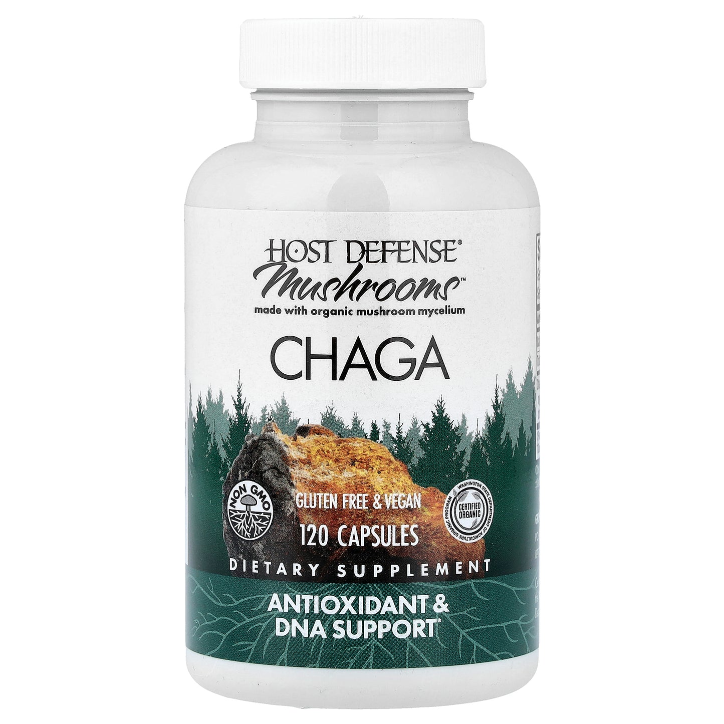 Host Defense, Mushrooms™, Chaga, 120 Capsules (0.5 g per Capsule)