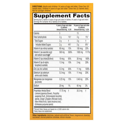 AirBorne, Immune Support, Citrus, 96 Chewable Tablets