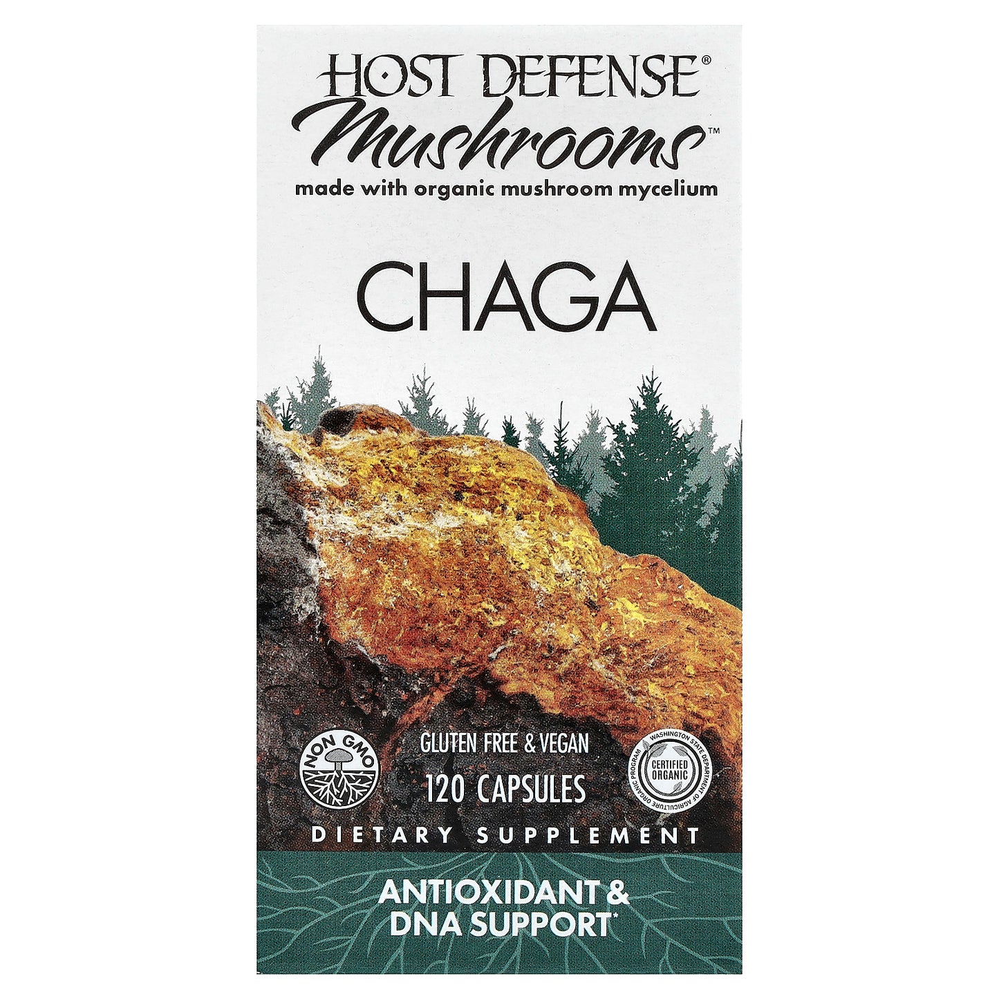 Host Defense, Mushrooms™, Chaga, 120 Capsules (0.5 g per Capsule)