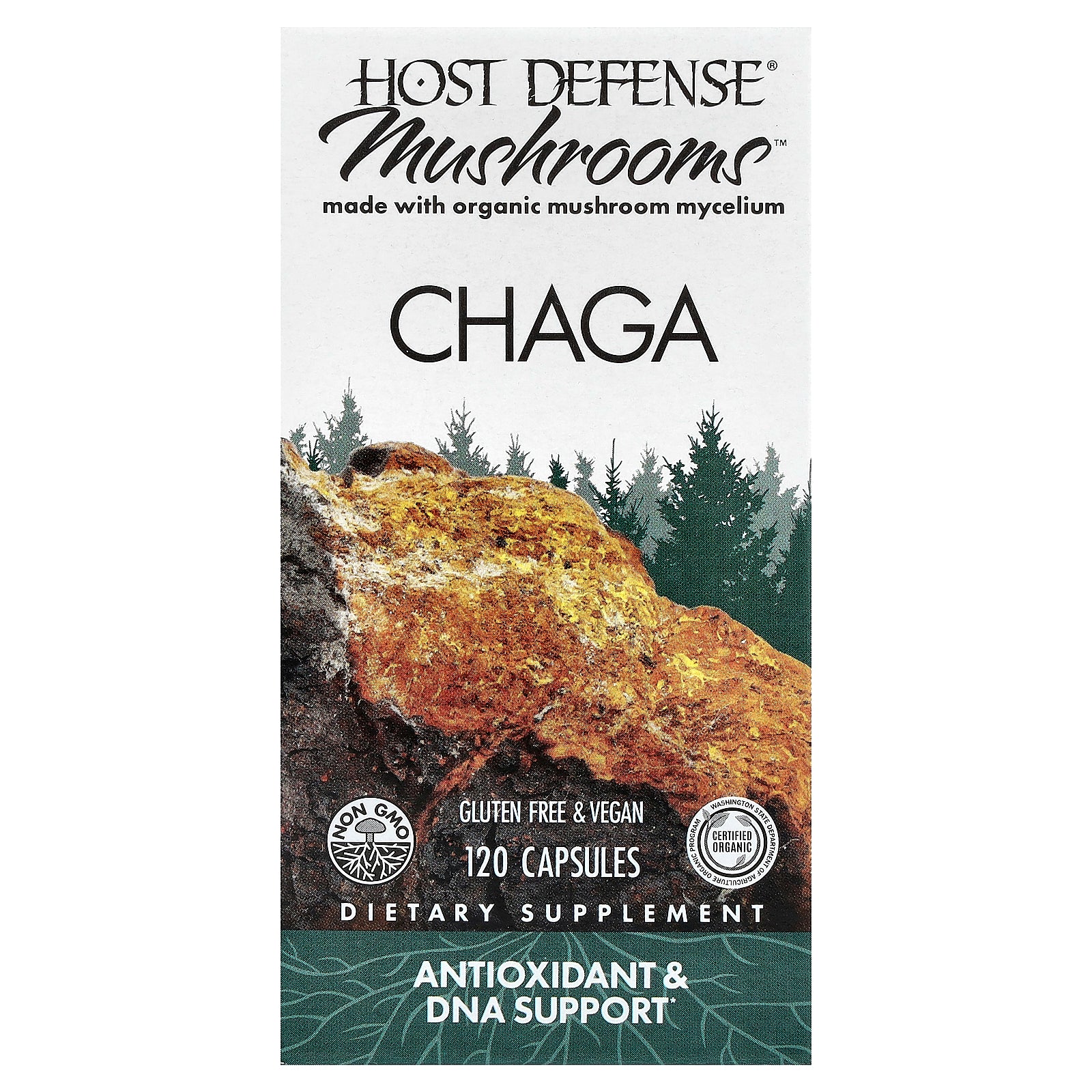 Host Defense, Mushrooms™, Chaga, 120 Capsules (0.5 g per Capsule)