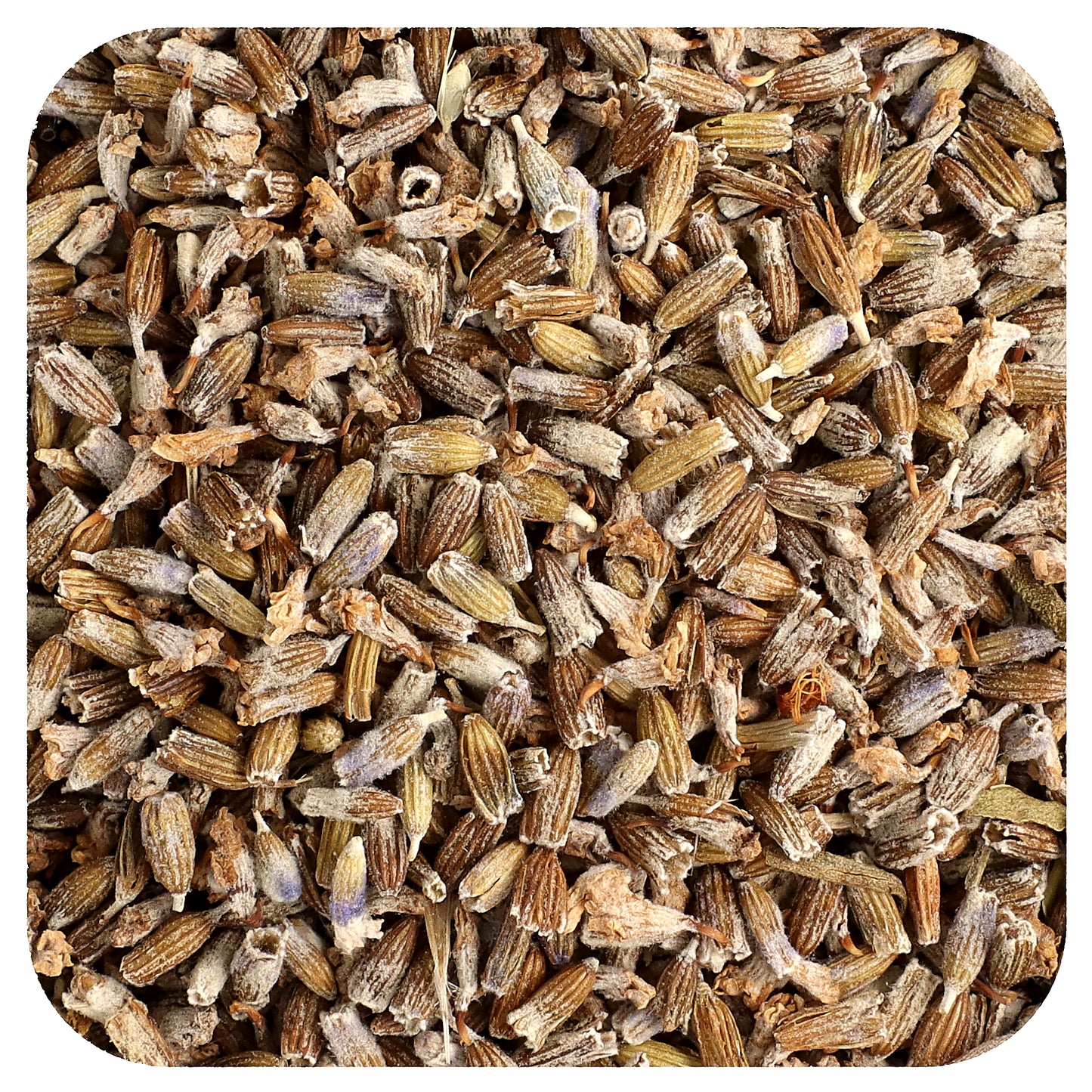 Frontier Co-op, Organic Whole Lavender Flowers, 16 oz (453 g)