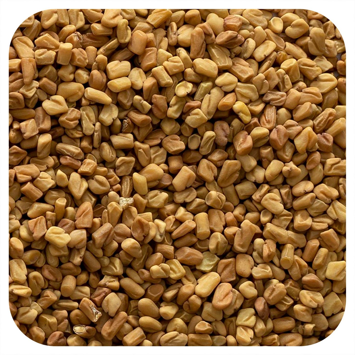 Frontier Co-op, Whole Fenugreek Seed, 16 oz (453 g)