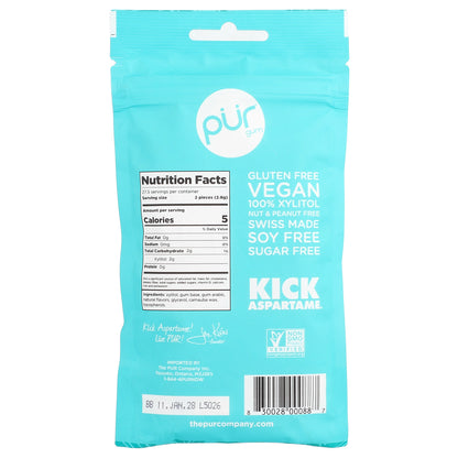 The PUR Company, Chewing Gum, Wintergreen, 55 Pieces, 2.72 oz (77 g)