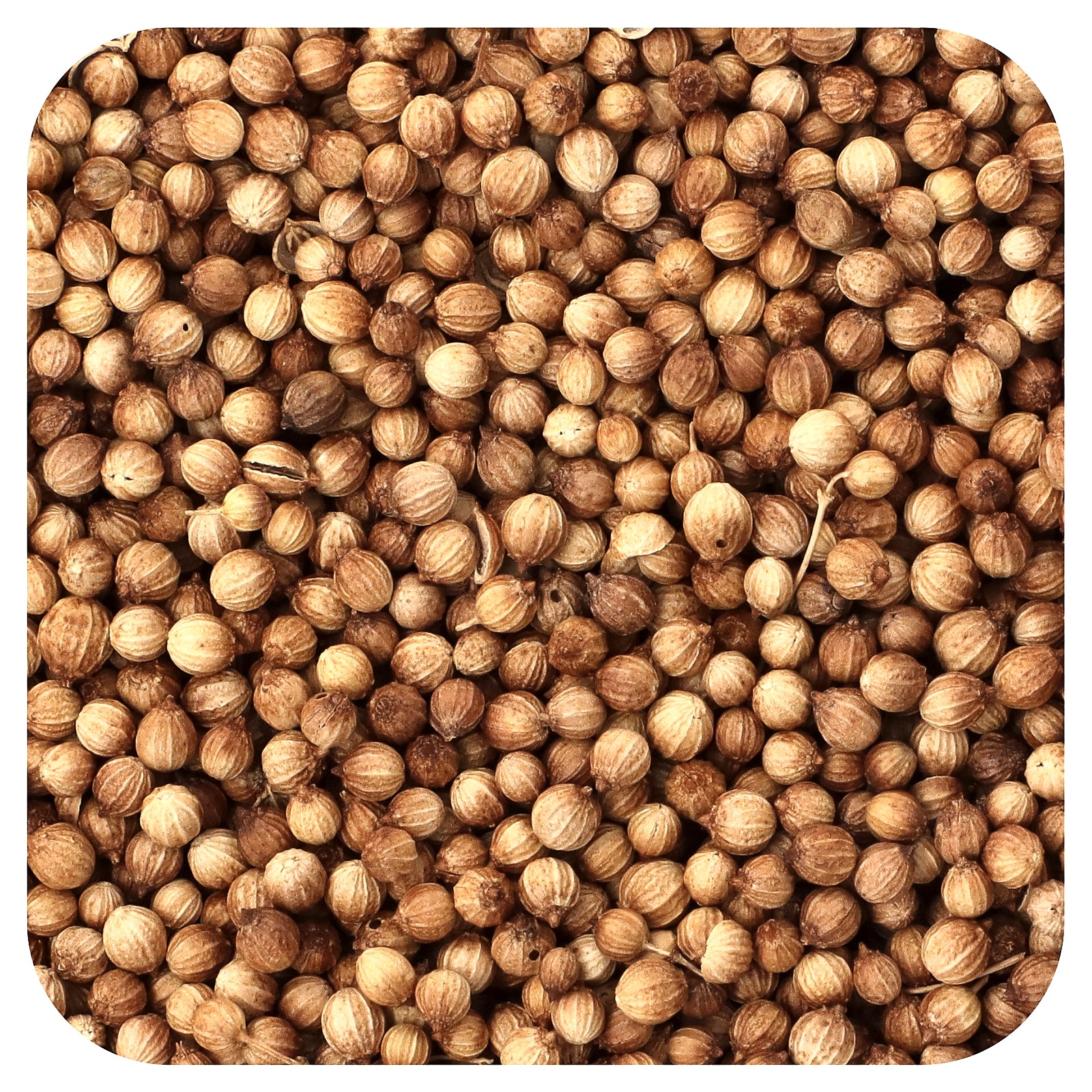 Frontier Co-op, Organic Whole Coriander Seed, 16 oz (453 g)